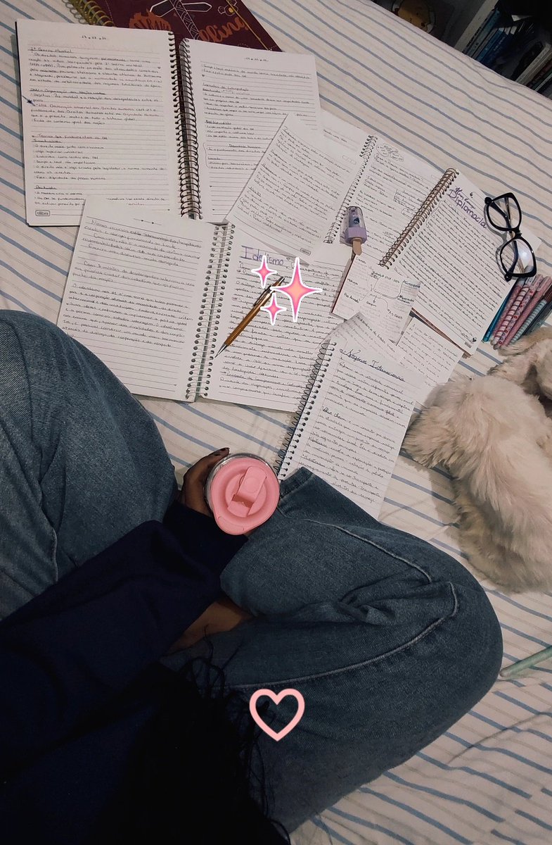 estudando muito na melhor companhia