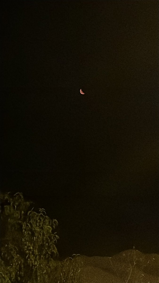 RollingGeorge_'s tweet photo. “Mira la luna”🫶🏼 https://t.co/xkZxo0RJeC