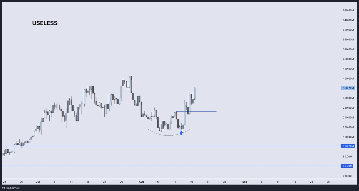 The order-flow never lies.

Read the quoted post.
{massive signal}

Small holders getting washed out, whales absorbing = holder quality improving — a wave of new holders suddenly rush in above ATHs (as always).

You will see a near instant ATH on a convincing break of $31.8M
