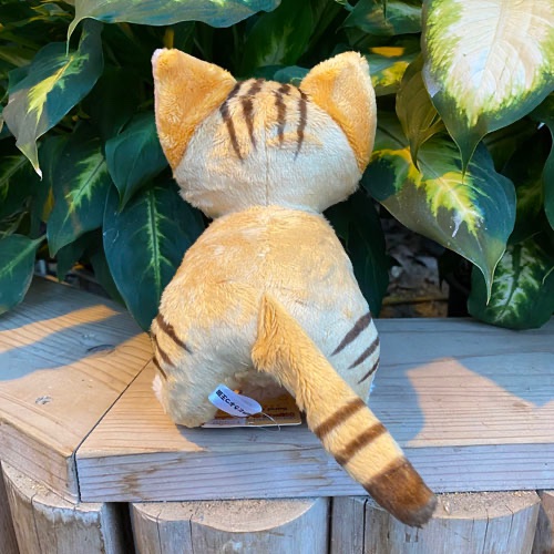 神戸どうぶつ王国オリジナル
｢ぬいぐるみ スナネコ S｣をご紹介します

砂漠などに生息するため毛の色は砂漠に溶け込む色、灼熱の砂から足裏を守るため肉球を覆うように毛があるスナネコのかわいいぬいぐるみ
触り心地はさら～っとしていて、きっとあなたの癒しになるはず

x.gd/N35KP