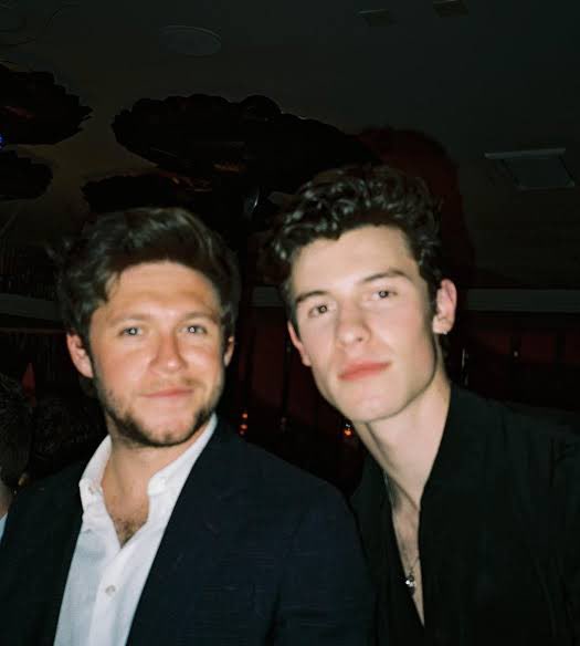 MUITO AMIGOS! 

“Esse cara tem sido como um irmão mais velho pra mim nos últimos 8/10 anos, e eu realmente amo ele de todo coração… sou muito grato por ele estar aqui!” — Shawn sobre o Niall.