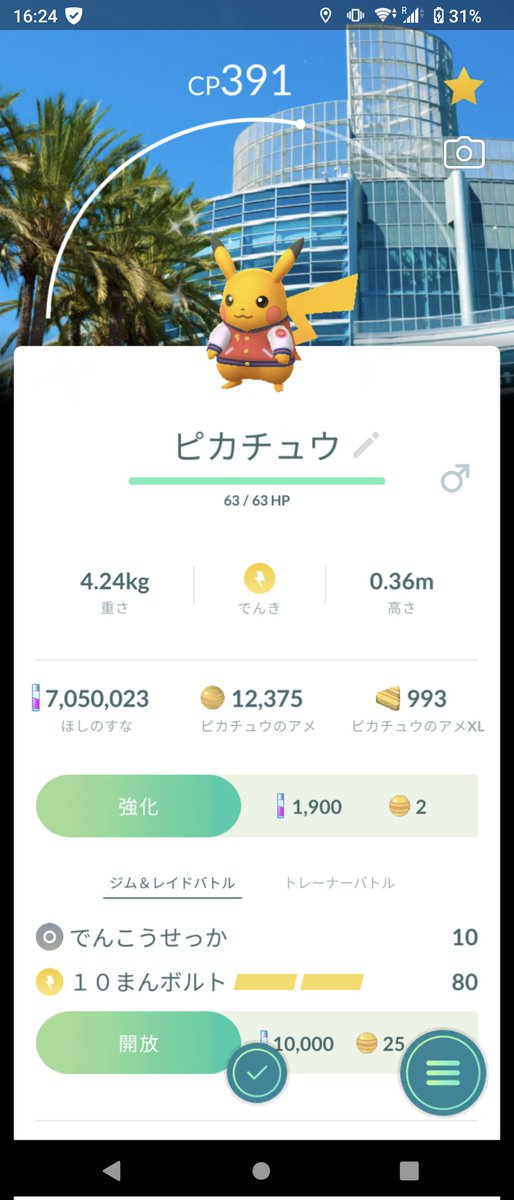 今年も色違い背景引けました！