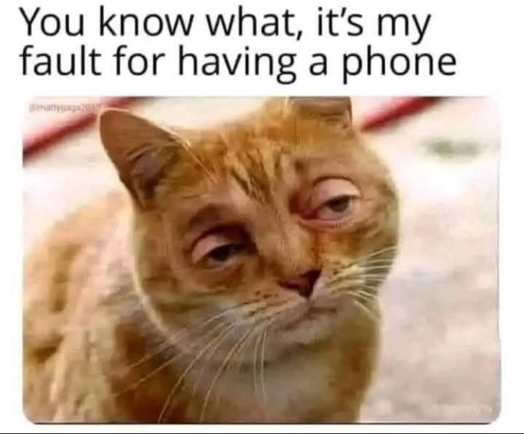 Josh Holt (@hjosh00) on Twitter photo 