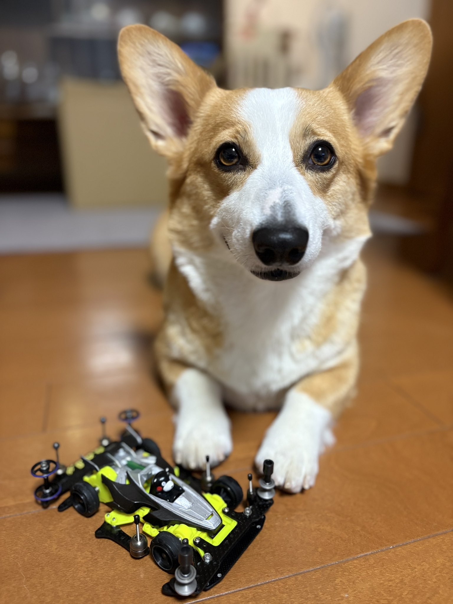 CORGI コーギー　 100周年　フライトコレクション　ライト兄弟 Amazon.co.jp: CORGI コーギー 1/32 100周年 限定 フライト