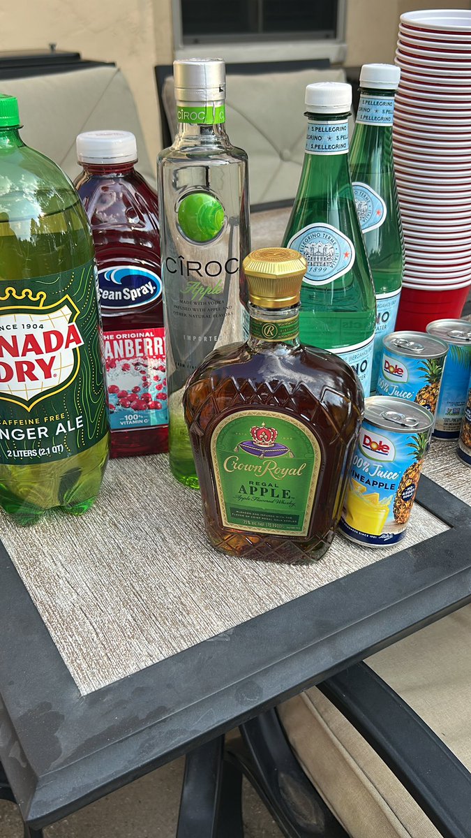 i brought the party to the party