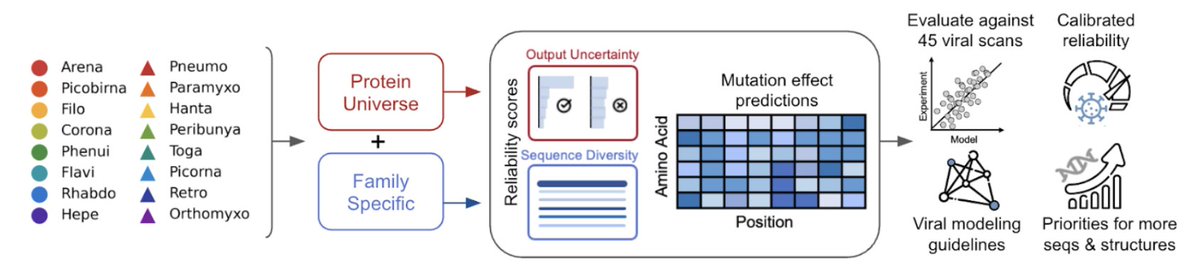 Sarah Gurev (@sarahgurev) on Twitter photo 🚨New paper 🚨
Can protein language models help us fight viral outbreaks? Not yet. Here’s why 🧵👇
1/12 🚨New paper 🚨
Can protein language models help us fight viral outbreaks? Not yet. Here’s why 🧵👇
1/12