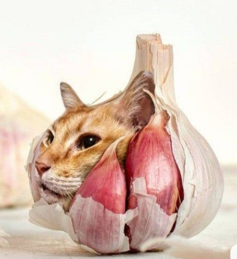 Delta6870 tweet media