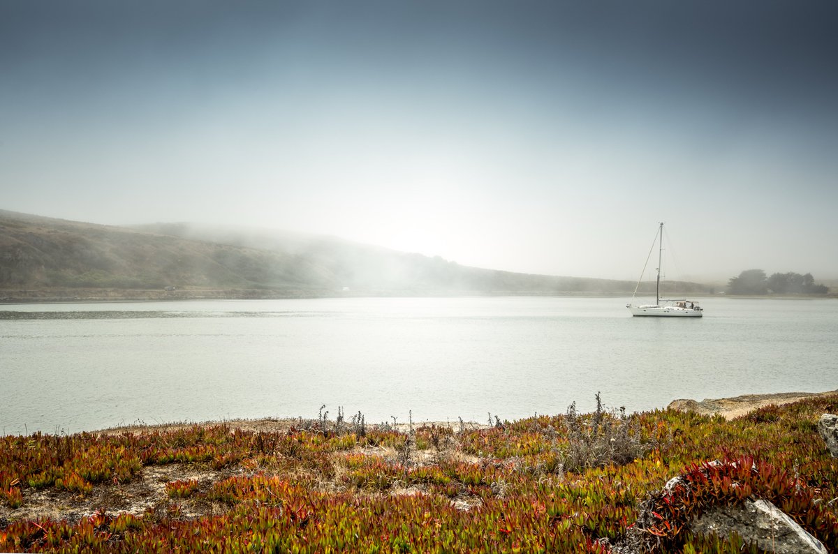 Lisa Gade tweet media