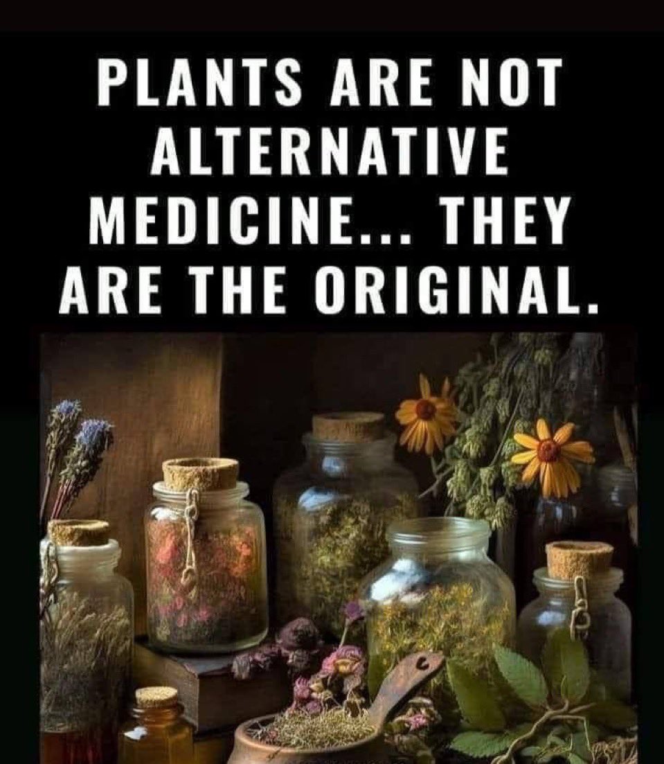 vegastarr's tweet photo. 🌱✨ https://t.co/MVMSFeDaTS