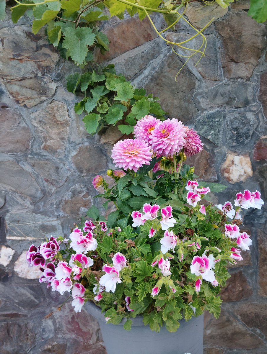 Guten Morgen ☕☕☕