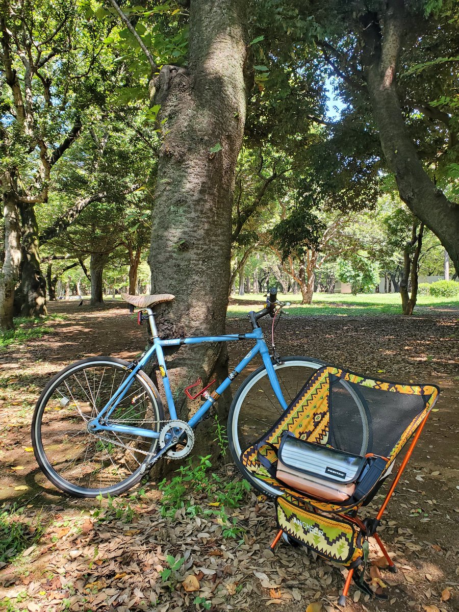 cyclecirclet_zw's tweet image. 日陰です!!! #trackbike #bikeporno #pist #ピスト #ポタリング #ロードバイク #roadbike #ゆるポタ #frtg #フライターグ #freitag #都内ポタリング #都内ポタ #チェアリング #サイクリング #代々木公園