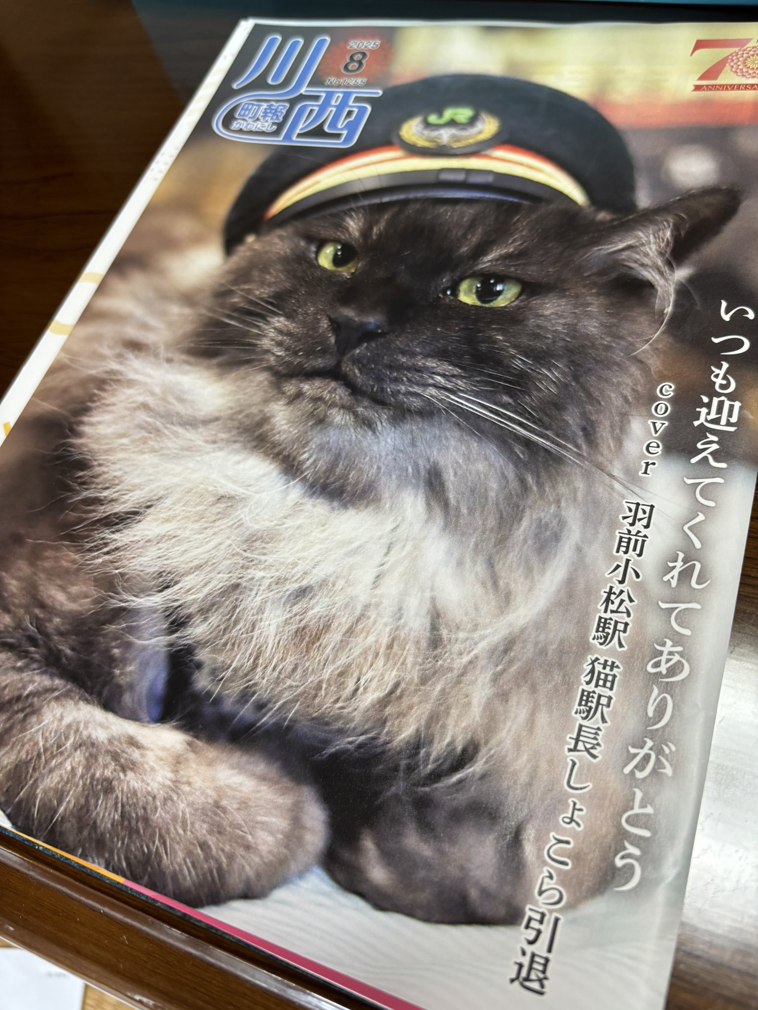 ねこ松 h.a on X: 