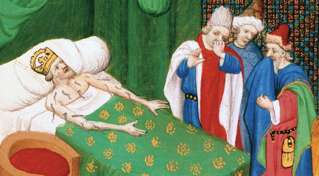 khushi (@khushhhi_) on Twitter photo Live leech therapy is marginalized in the West, despite centuries of use and modern clinical niches where it helps.
Maybe It's time to take it seriously again.
Read my full piece for <a href="/AsimovPress/">Asimov Press</a> ! (Link Below) Live leech therapy is marginalized in the West, despite centuries of use and modern clinical niches where it helps.
Maybe It's time to take it seriously again.
Read my full piece for <a href="/AsimovPress/">Asimov Press</a> ! (Link Below)