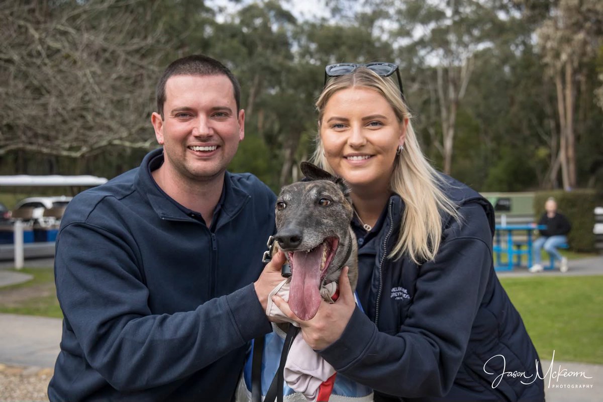 WatchDog Racing tweet media