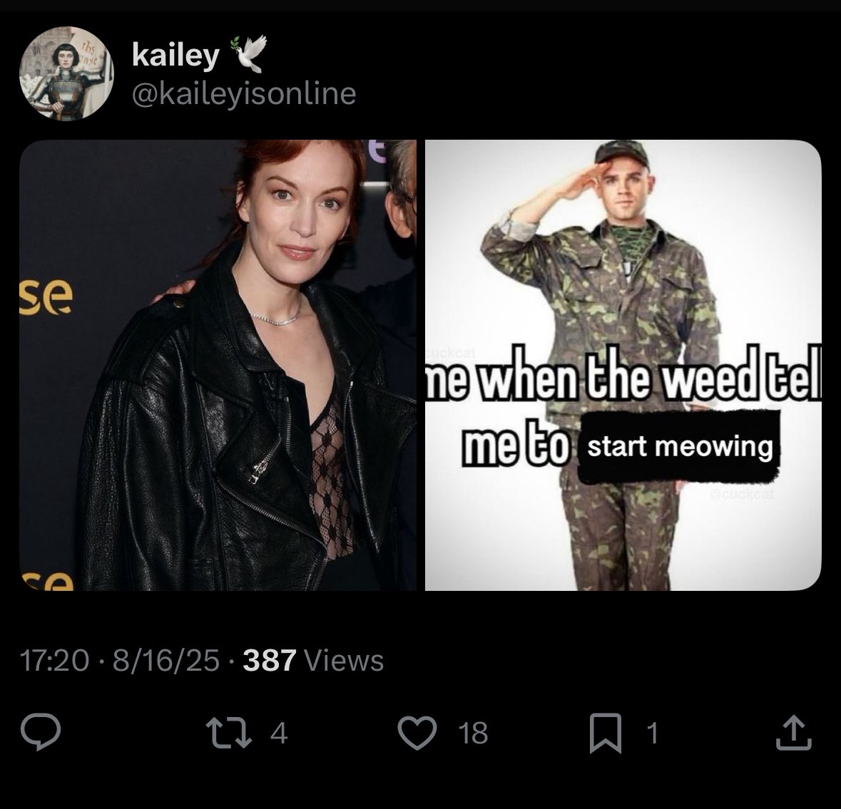 lumon_struggles's tweet image. 