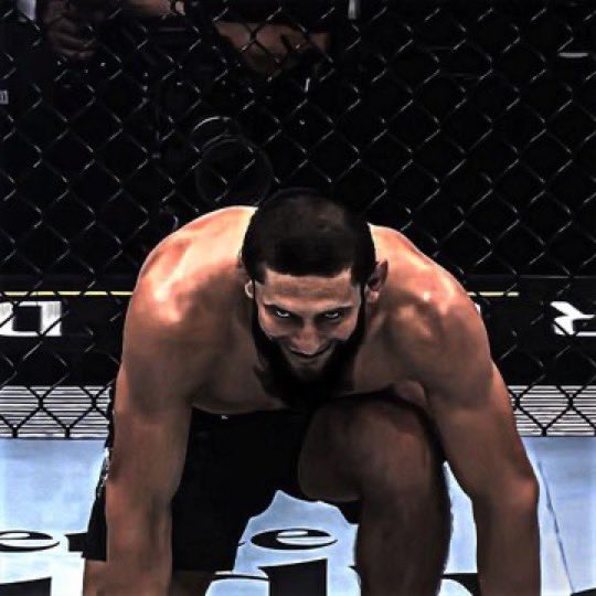 ⵣ Ibra 🇲🇦 tweet media