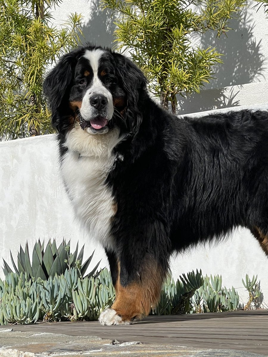 Mike Booth tweet media