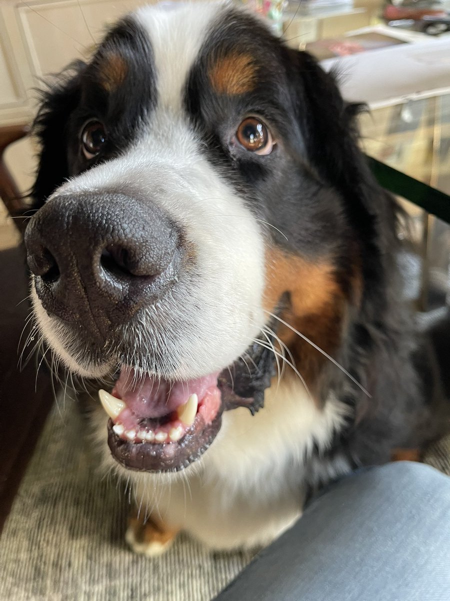 Mike Booth tweet media