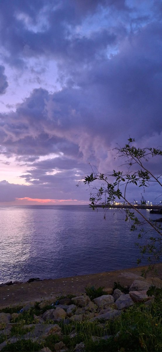 "La vulgaridad está al alza, la calidad en caída libre"