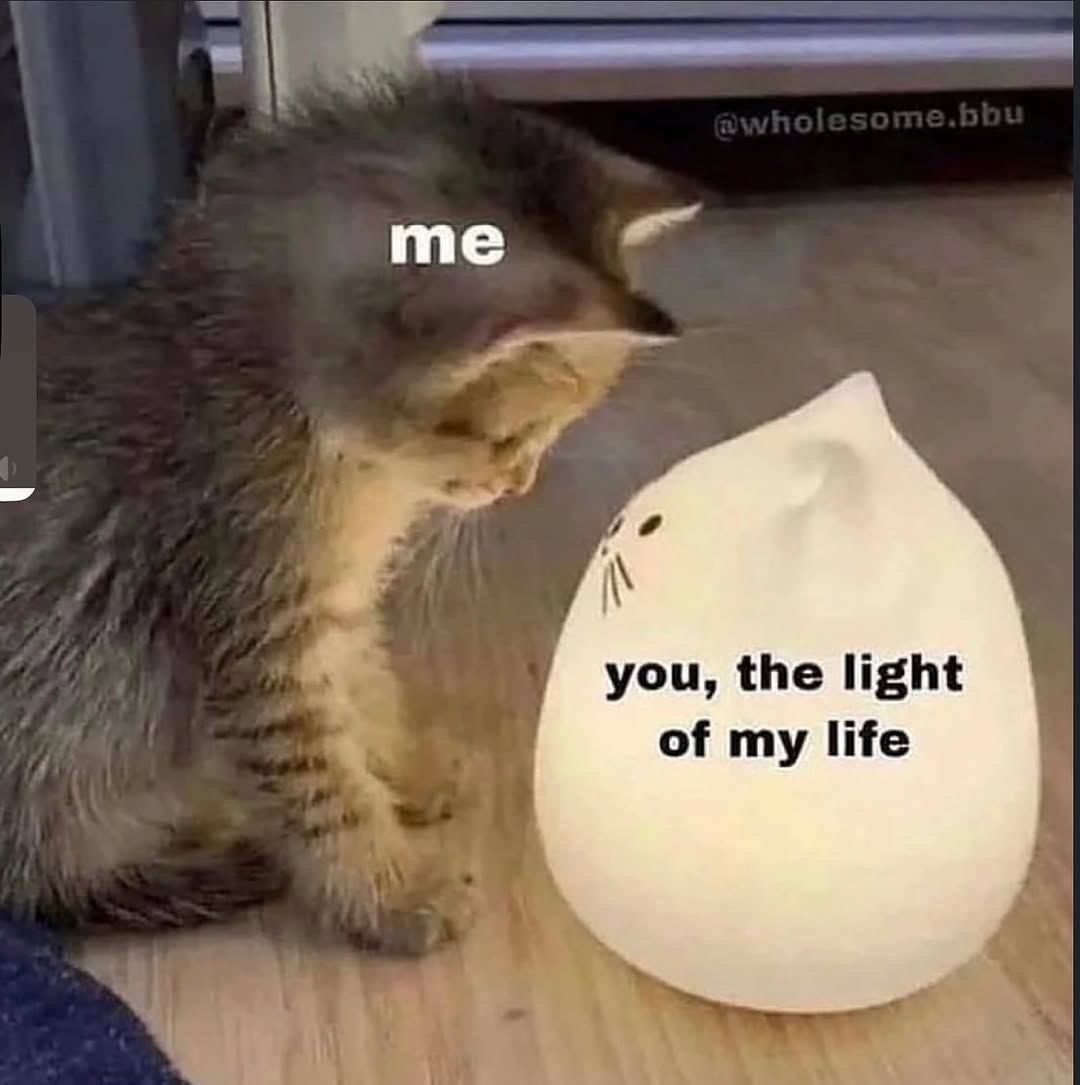 OFHARDYSDRKNESS's tweet image. 