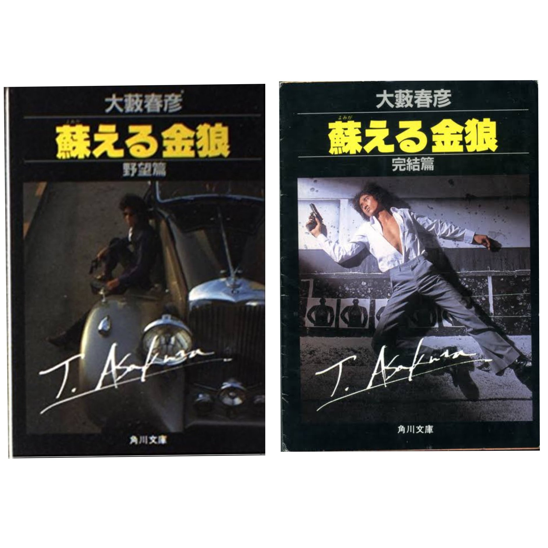 【中古】 闇を裂く黄金の爪 黄金豹伝説シリーズ４/大陸書房/山本恵三 中古】 闇を裂く黄金の爪 黄金豹伝説シリーズ4/大陸書房/山本恵三