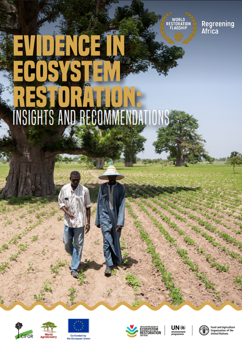 CIFOR-ICRAF (@cifor_icraf) on Twitter photo 🔥Hot off the press: Evidence in Ecosystem Restoration
How can science, local & Indigenous knowledge improve restoration?
This brief shares 7 recommendations to strengthen evidence use across all stages.
Read:🔗bit.ly/3HYwLw1
<a href="/UNEP/">UN Environment Programme</a> <a href="/FAO/">Food and Agriculture Organization</a> #TreesPeoplePlanet 🔥Hot off the press: Evidence in Ecosystem Restoration
How can science, local & Indigenous knowledge improve restoration?
This brief shares 7 recommendations to strengthen evidence use across all stages.
Read:🔗bit.ly/3HYwLw1
<a href="/UNEP/">UN Environment Programme</a> <a href="/FAO/">Food and Agriculture Organization</a> #TreesPeoplePlanet