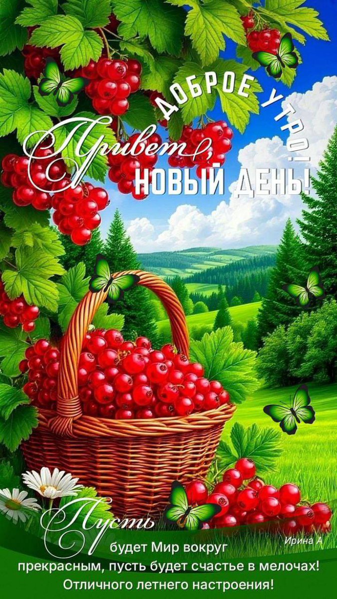 ludmilaima's tweet image. С добрым воскресным утром!