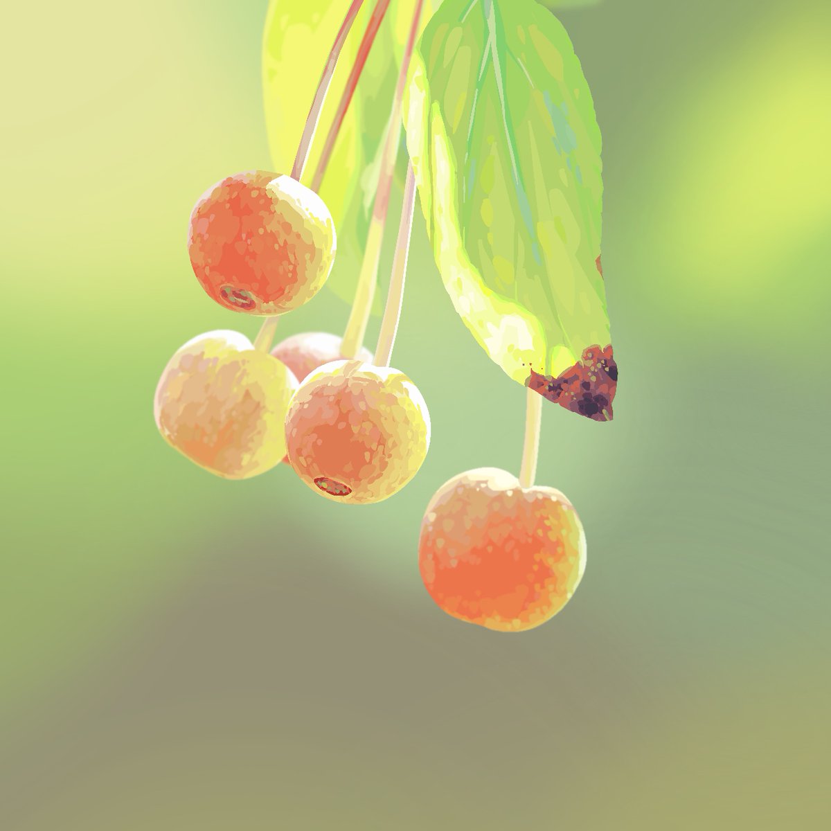 雷塞 tweet media