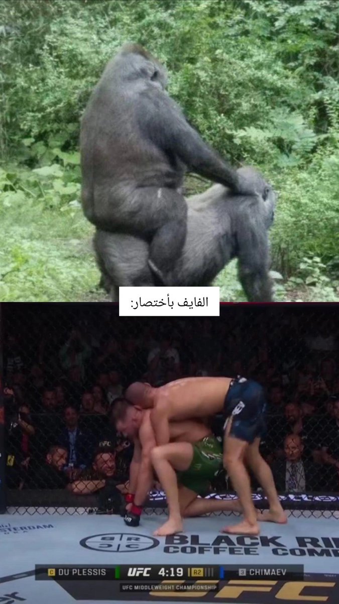 Manaf Sharif tweet media