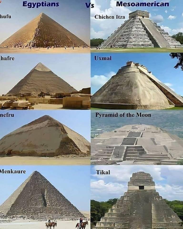 rabbitholebot tweet media