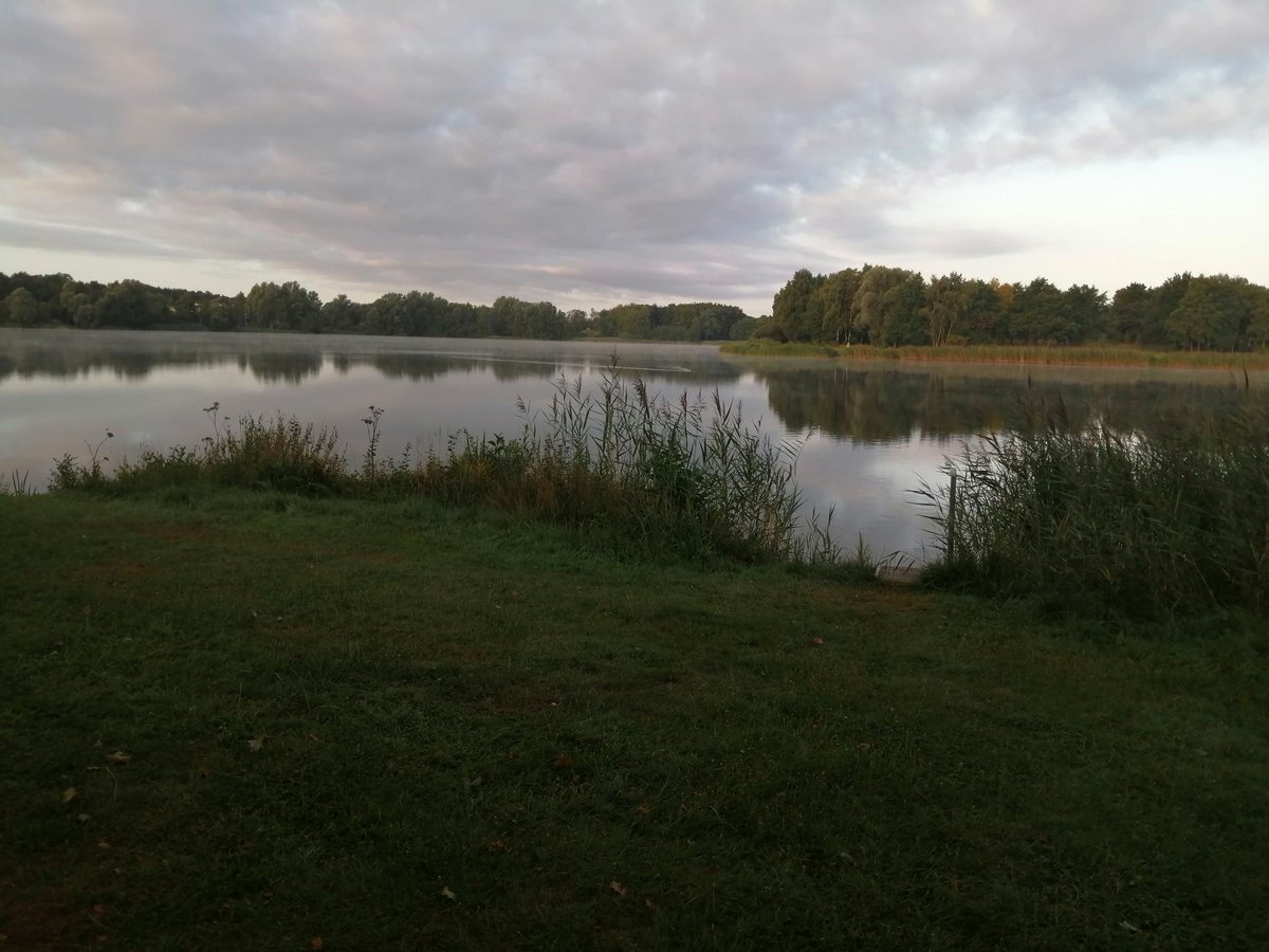 IRT_DELTA's tweet image. Goedemorgen op deze #zondag
Lekker even een duik nemen in de vroege ochtend Water 23,5 graad
#skinnydipping #Bussloo
