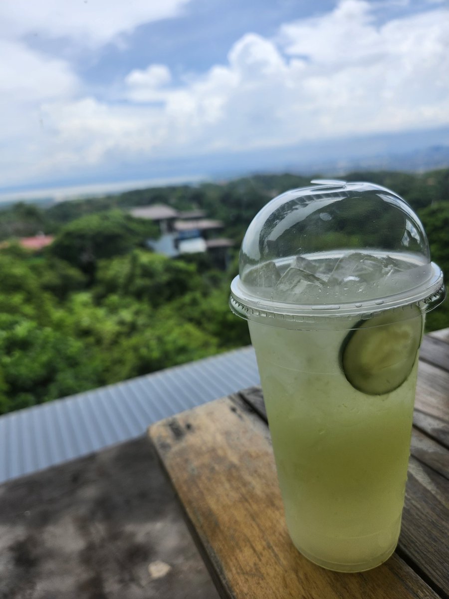 本日は、都会の喧騒を離れ、高台のアンティポロという街にやってきました。うんとっても景色がすてき。

ピント美術館の館長さんで医師のJoven先生に会うために来ましたが、アポより早くついたので、カフェで一息。

キューカムバ－レモネードが思ったよりキュウリなのとそれでもとても美味しい。