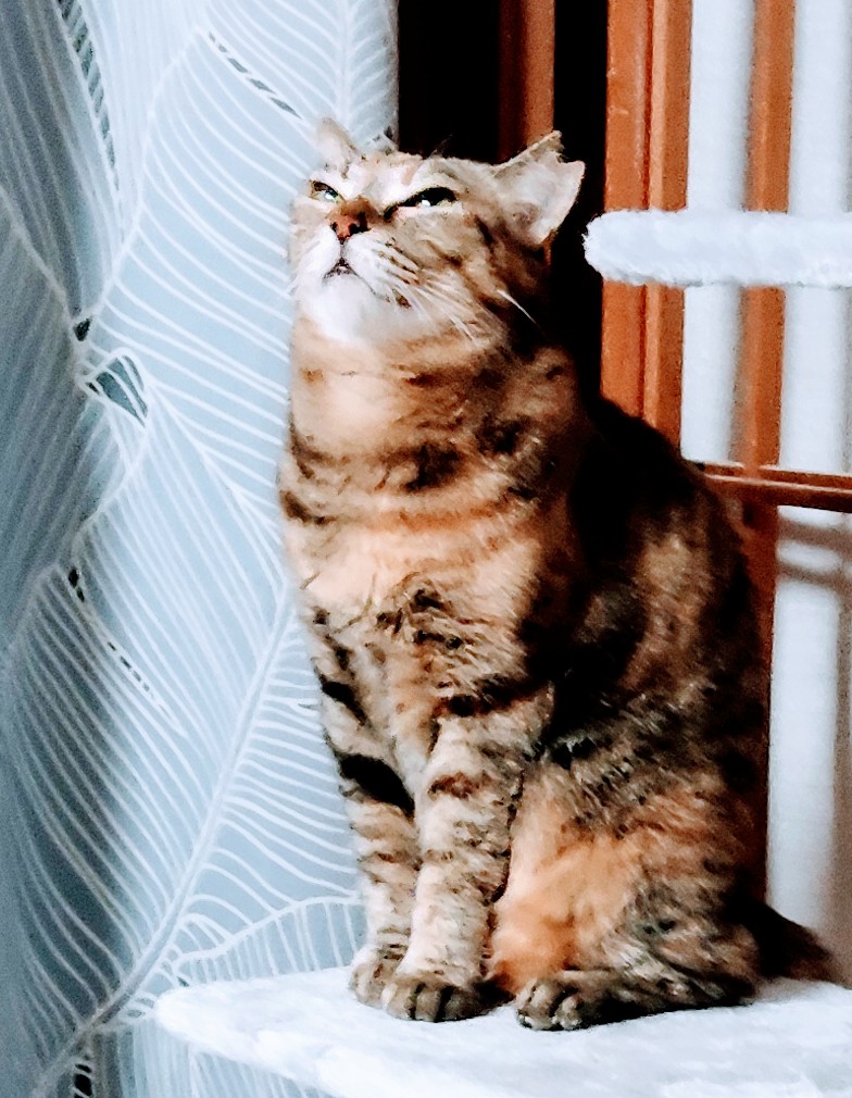 おかげさまで毎日楽しく過ごしています。感謝感謝の日々。
関わり合う生命とめいいっぱい命と情熱を燃やしています。