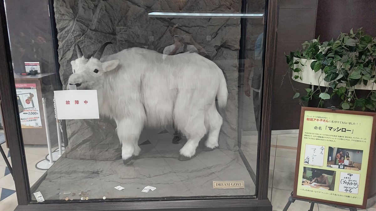 ダメだったじゃねーかゆみ！！

これにて全日程は終了！
帰宅しまう！！！！