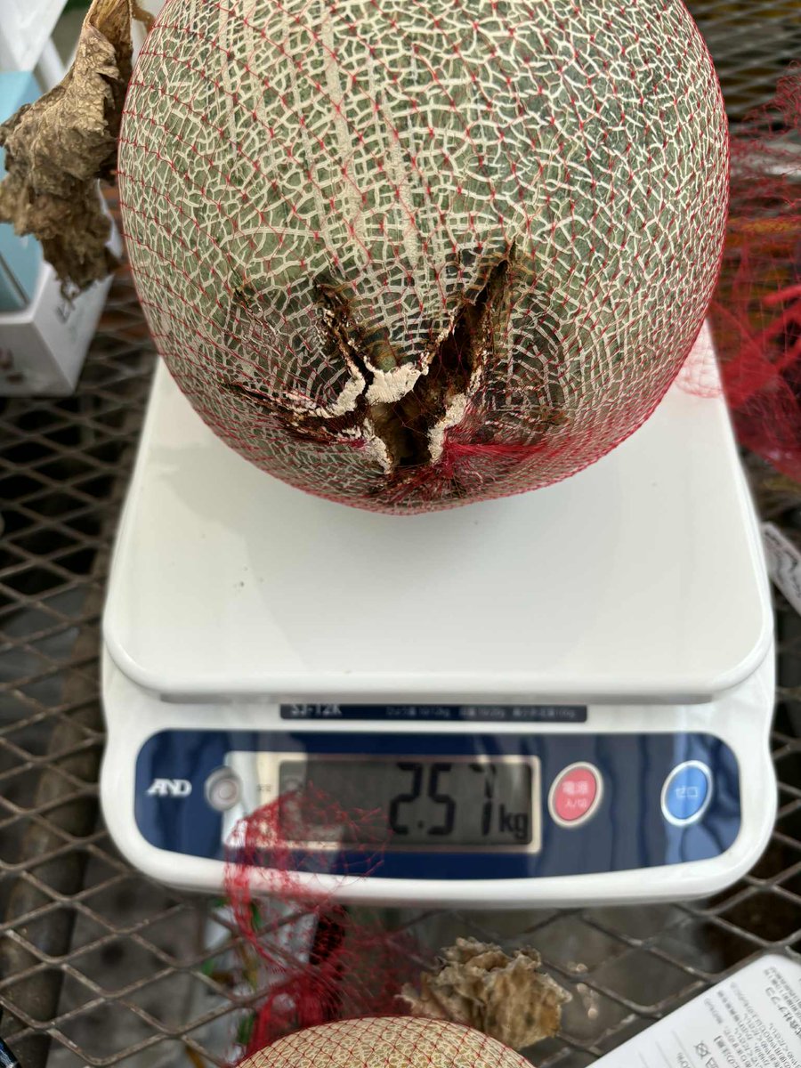食べチョク【公式】🍓🍊🌾生産者直送の産直通販サイト tweet media