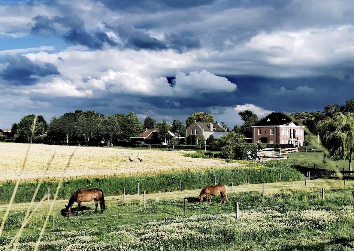 Geert Wilders tweet media