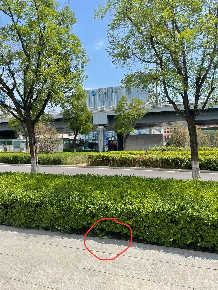 今日藏宝！昨天约的少妇原味肉丝一条
太原南站东广场（直对汉庭酒店草丛）