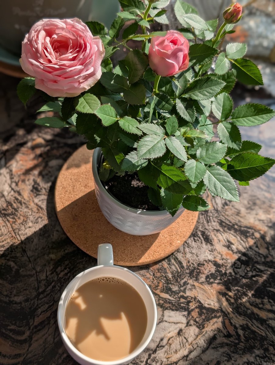 …and coming back past lighted
windows to one's tea… and book.

( Virginia Woolf, Letters )