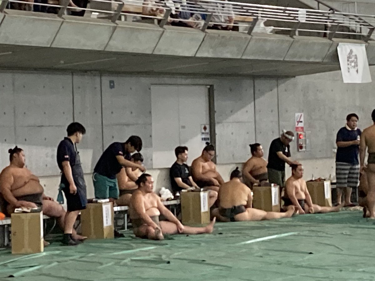 今年も髪結場を見にきてみたが、大銀杏はこれからっぽい