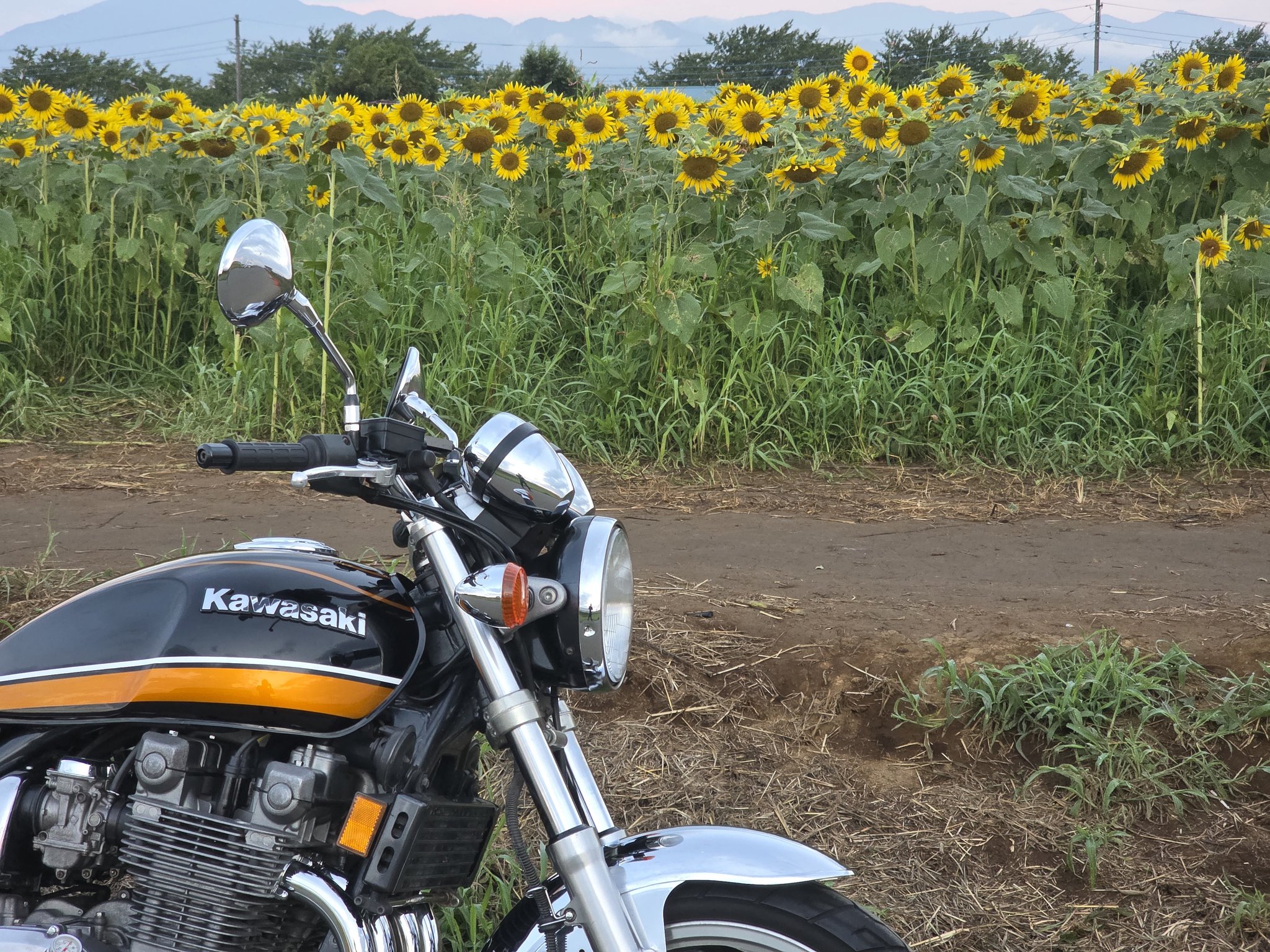 なおっち@JB-RIDERS (@naocchi_NokSgt) / X