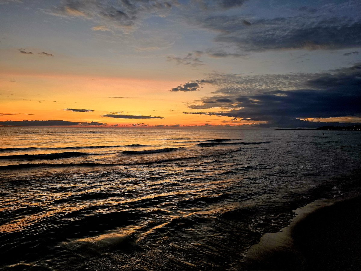 LoveLudington tweet media