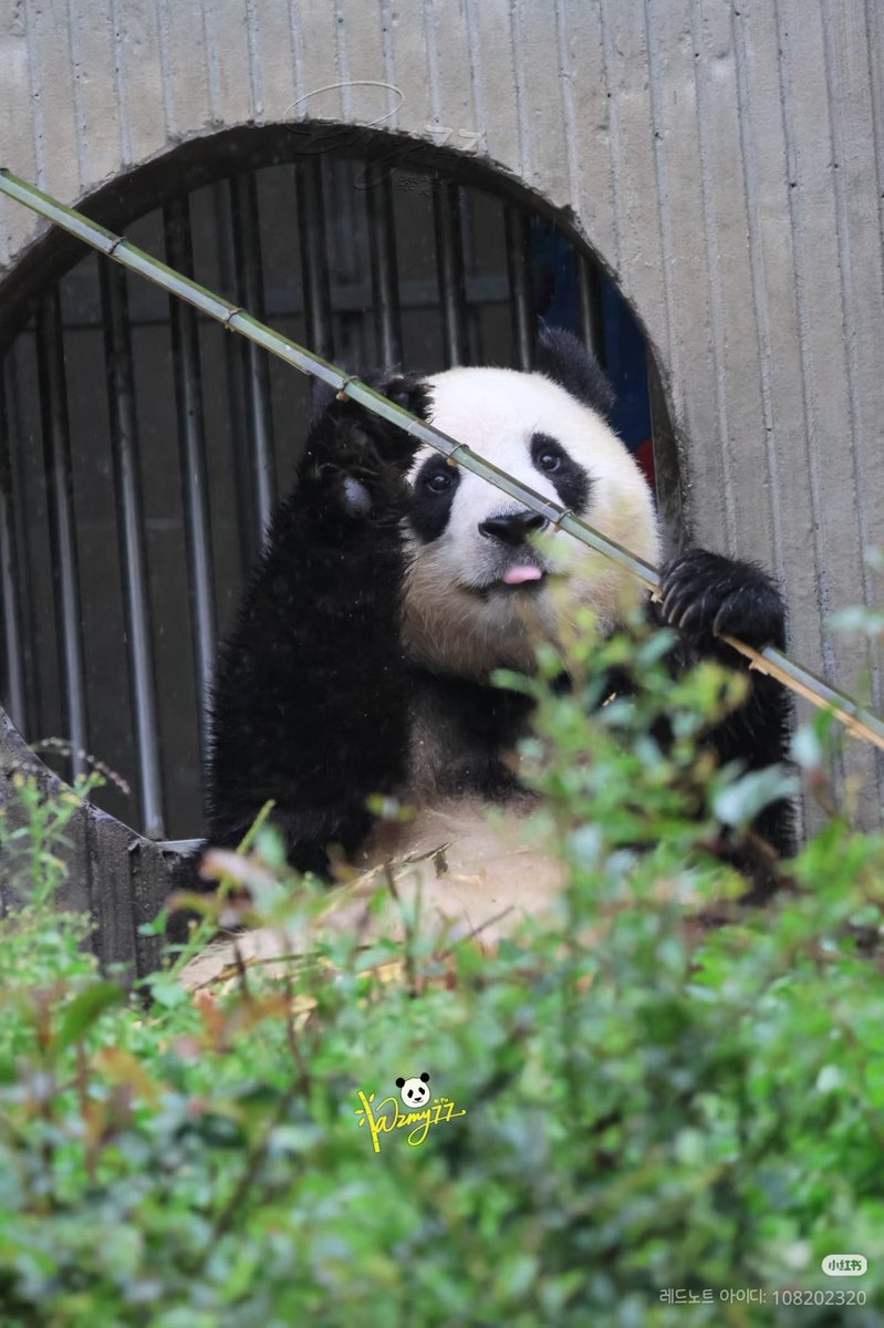 안녕 아가야 ヽ(*´∀｀)ノ