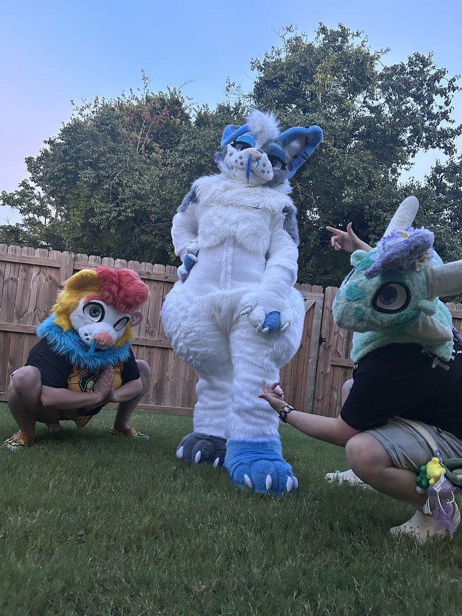 BARK BARK BARK BARK!!!!