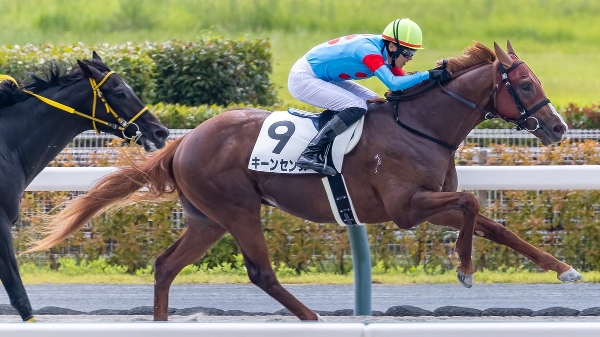 LSJ (@torres9neymar) / X