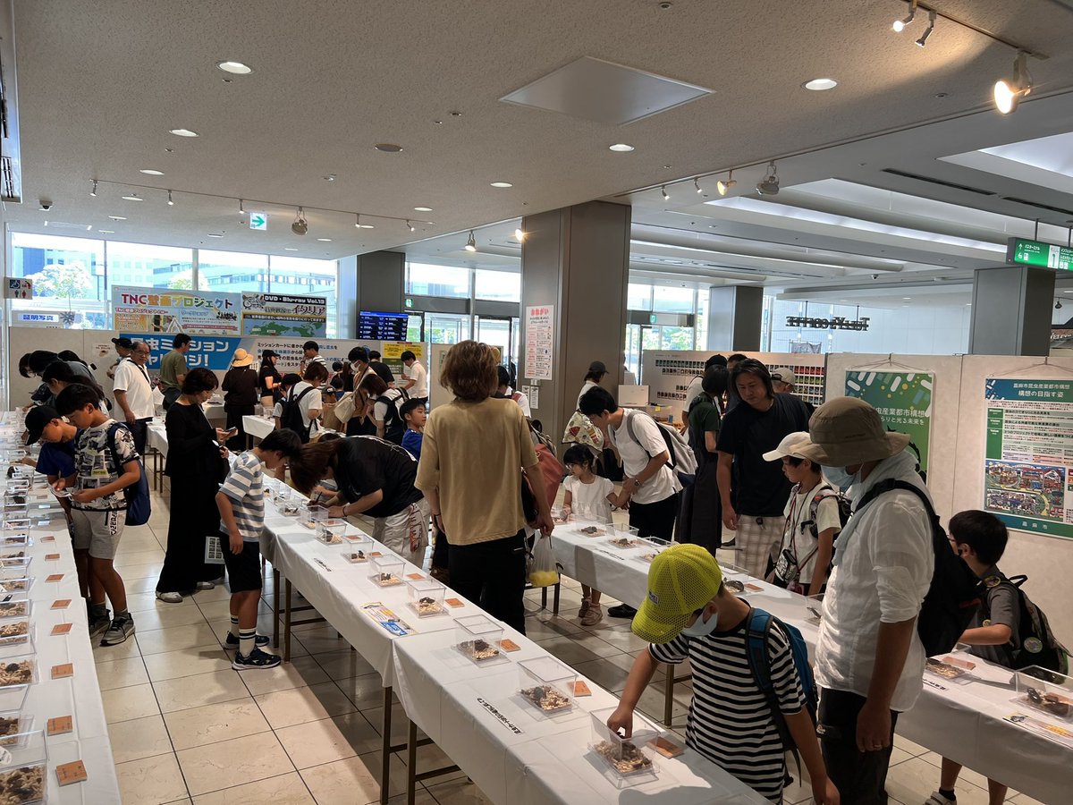 fuk_daikonchu's tweet photo. [㊗️！来場者8000人突破！]

ふくおか大昆虫展×蟲神器inももち
本日、最終日です！！

本日は、展示中の昆虫大販売会を開催しております！

蟲神器体験会、糸かけアートなど様々なイベントも開催中です！

ご来場お待ちしてます！

#大昆虫展
#福岡
#子ども
#夏休み
#イベント https://t.co/9aOsXIpAlA