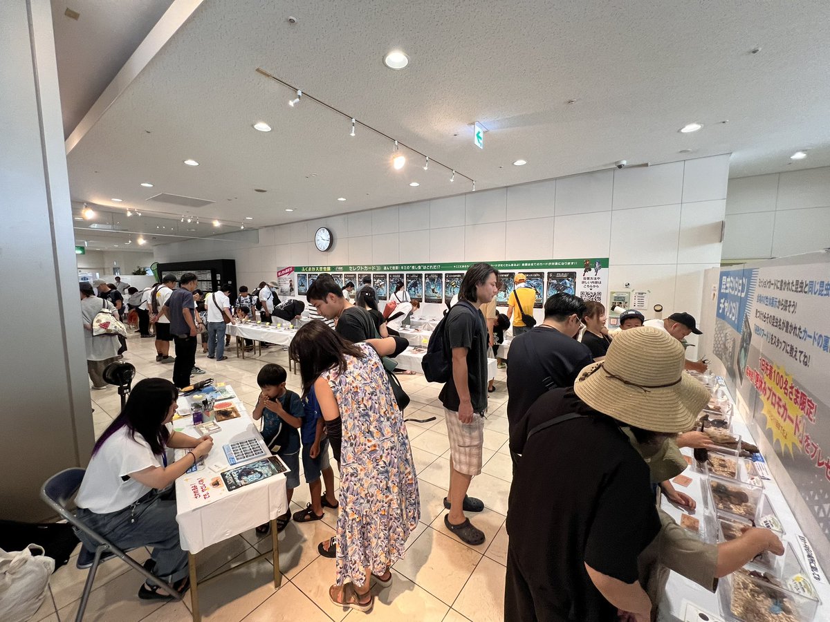 fuk_daikonchu's tweet photo. [㊗️！来場者8000人突破！]

ふくおか大昆虫展×蟲神器inももち
本日、最終日です！！

本日は、展示中の昆虫大販売会を開催しております！

蟲神器体験会、糸かけアートなど様々なイベントも開催中です！

ご来場お待ちしてます！

#大昆虫展
#福岡
#子ども
#夏休み
#イベント https://t.co/9aOsXIpAlA