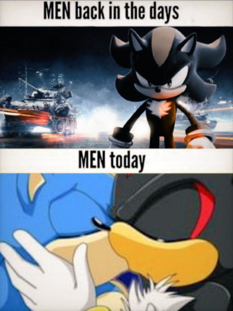 #1 Shadow The Hedgehog Fan (@realshadowfan01) on Twitter photo 