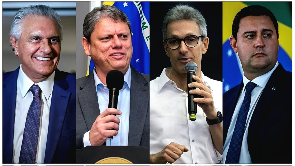TumultoBRacervo tweet media