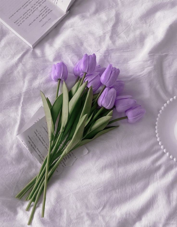 Only Tulips (@tutututututulip) on Twitter photo 