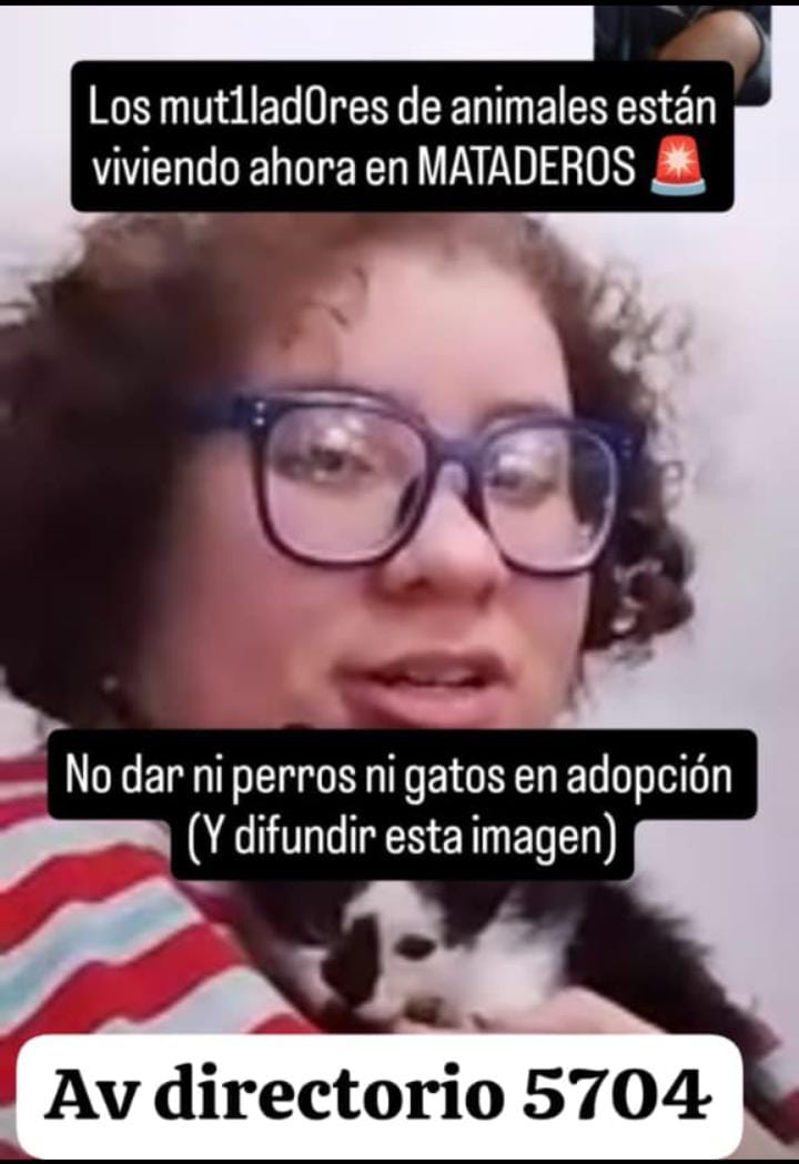 Rt
Denuncien sin miedo vecinos!!